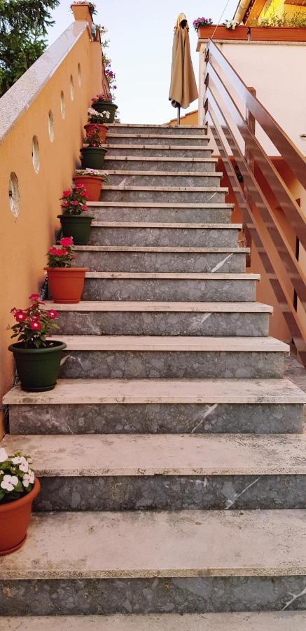 Apartmani Zem, Krk Krk Town Esterno foto
